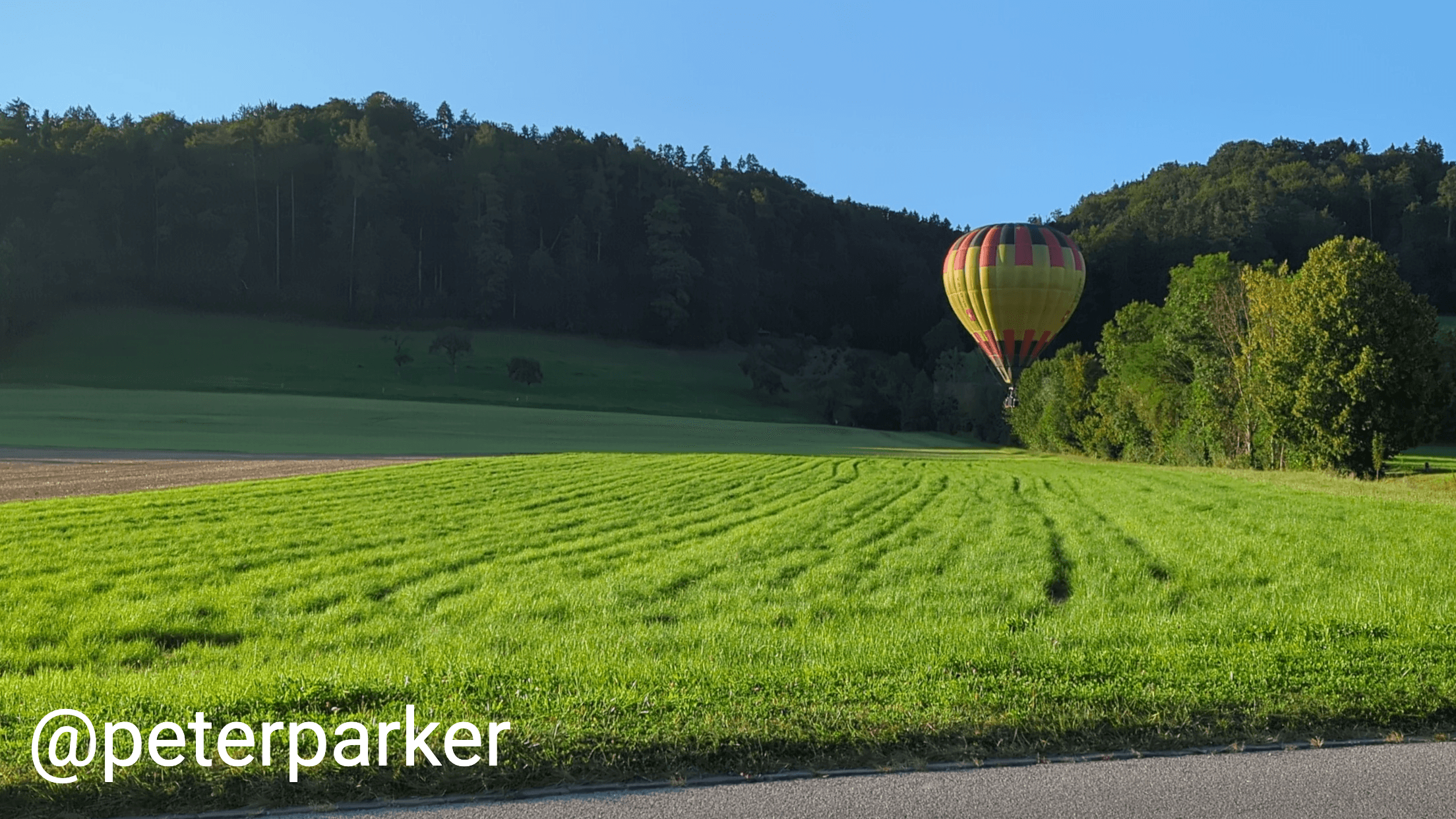 An example picture of a hot air balloon on a field with a text watermark in the Roboto font.