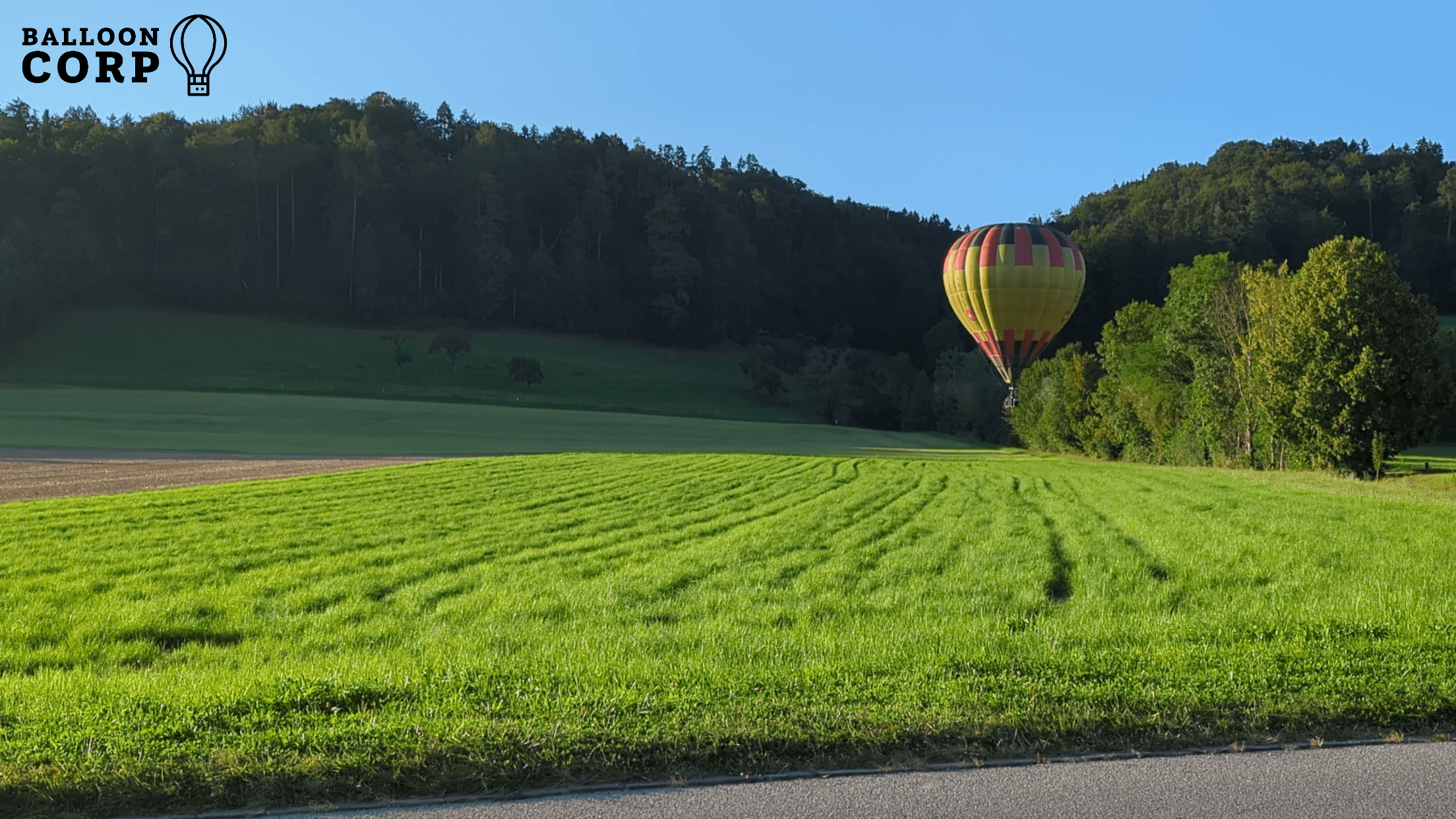 An example picture of a hot air balloon on a field with a logo watermark.