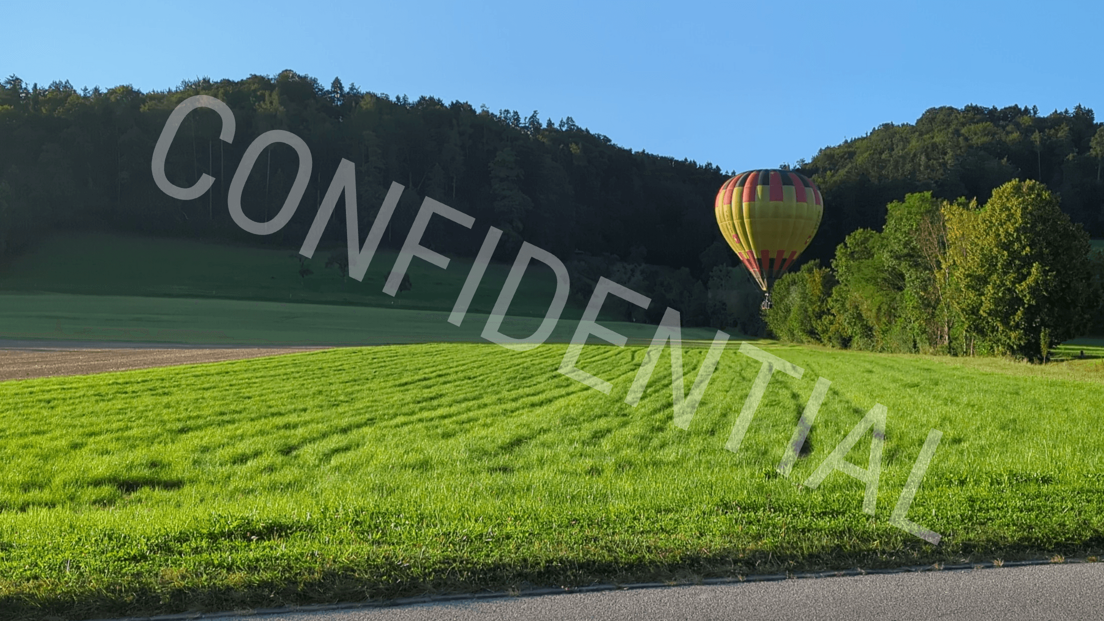 An example picture of a hot air balloon on a field with a 'CONFIDENTIAL' text watermark in the Roboto Condensed font.