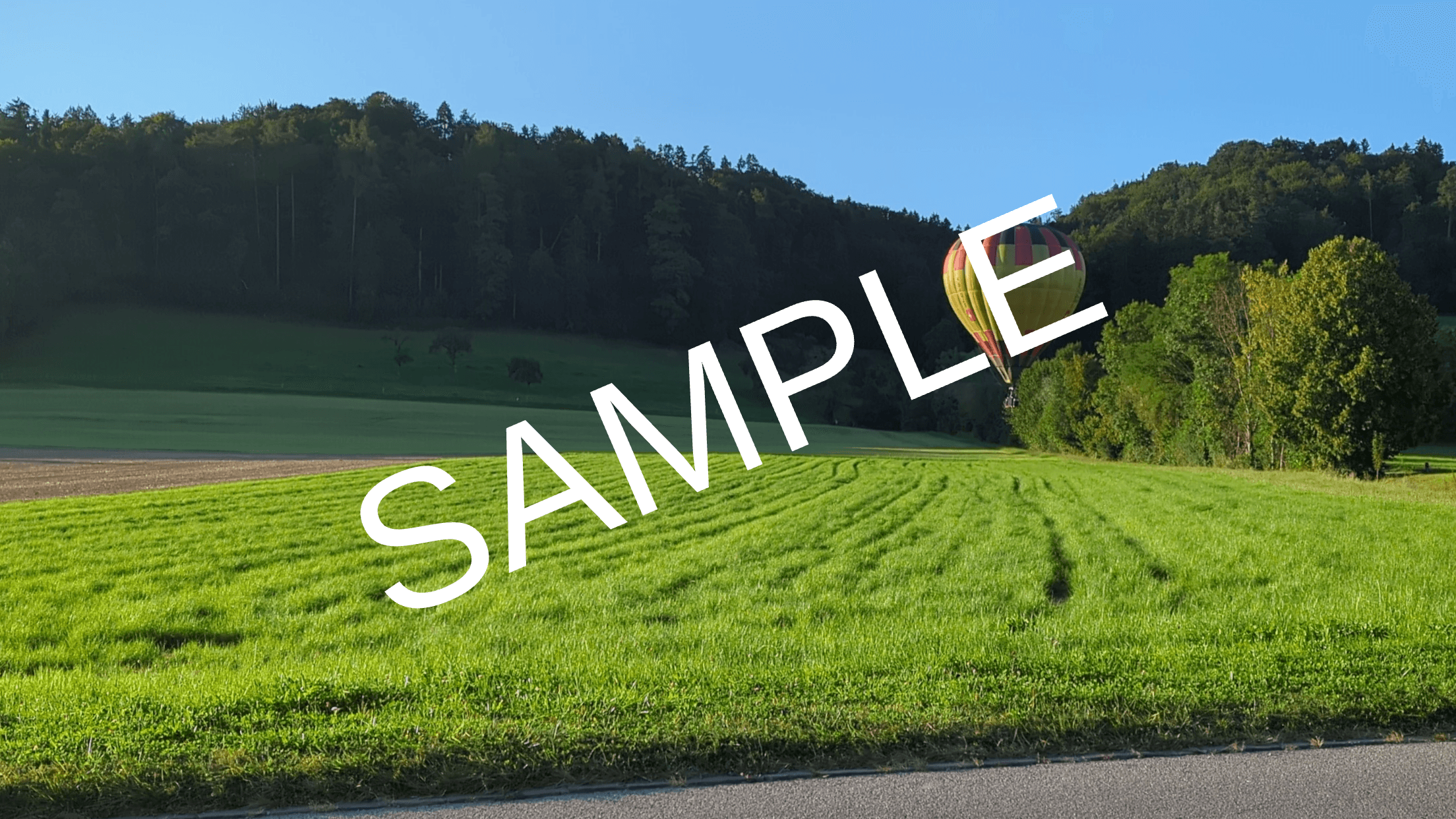 An example picture of a hot air balloon on a field with a 'SAMPLE' text watermark in the Arimo font.